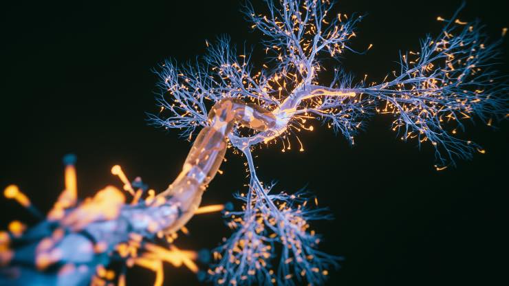 Collegamenti neuronali (Istock)