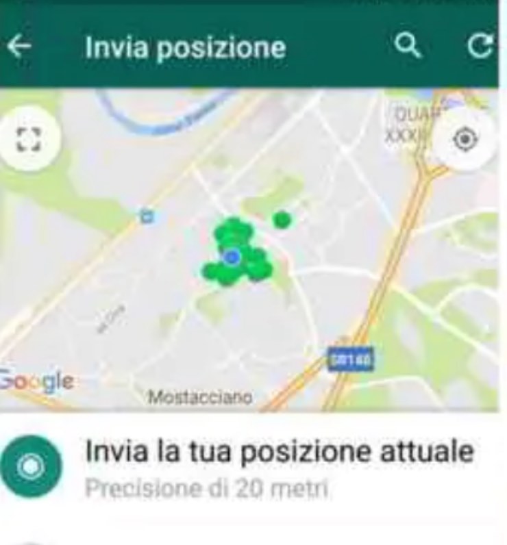 WhatsApp posizione