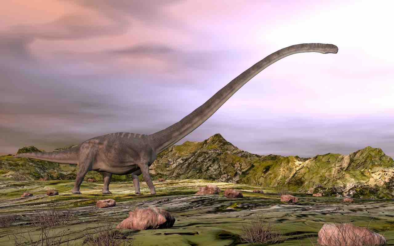 Discover a new dinosaur: no one else was his size.  An impressive understatement