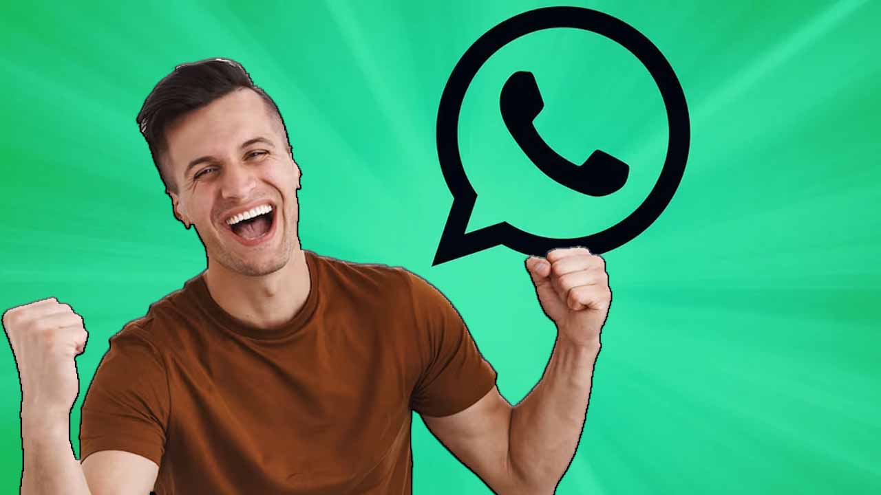 WhatsApp, armored chats are coming: what they are and why they are a hack I finally sleep peacefully