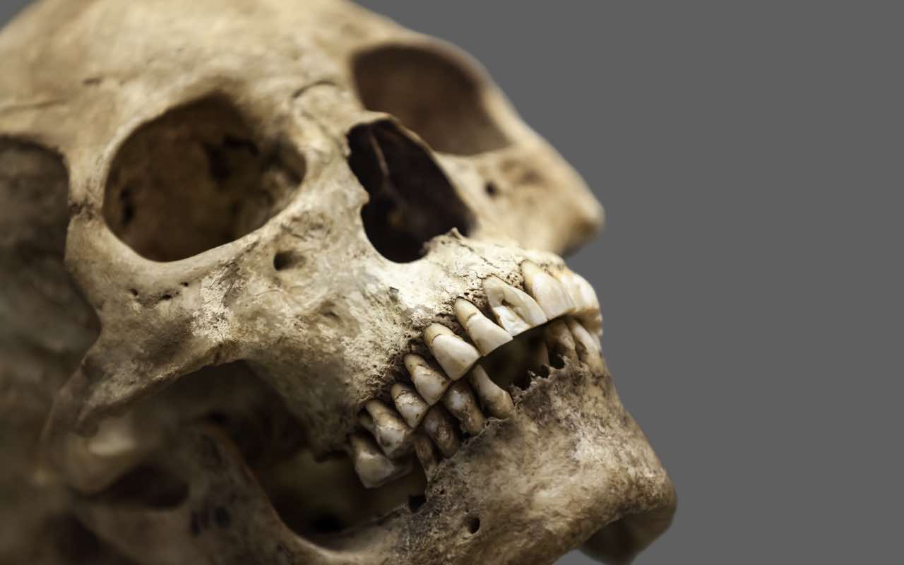 Prehistoric times, the discovery of an unknown race of humans with a disturbing skeleton, they do not have chins