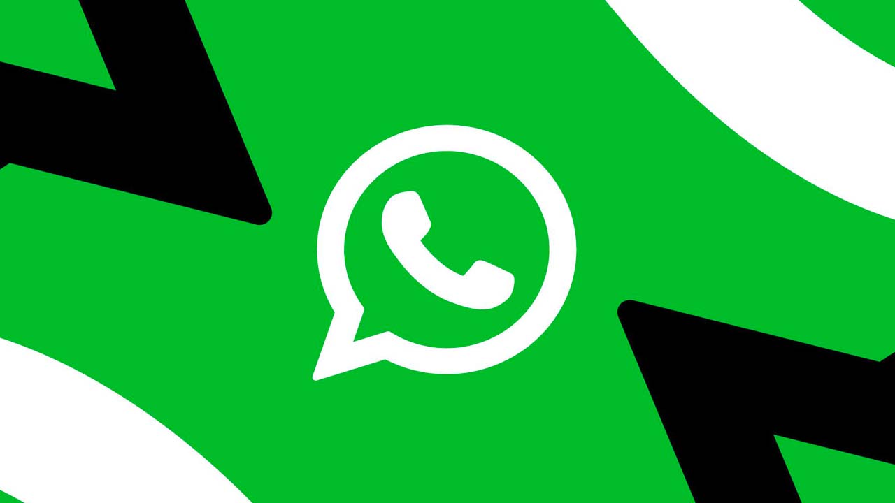 whatsapp 1 the verge 