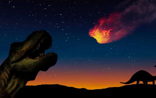 dinosauri 1