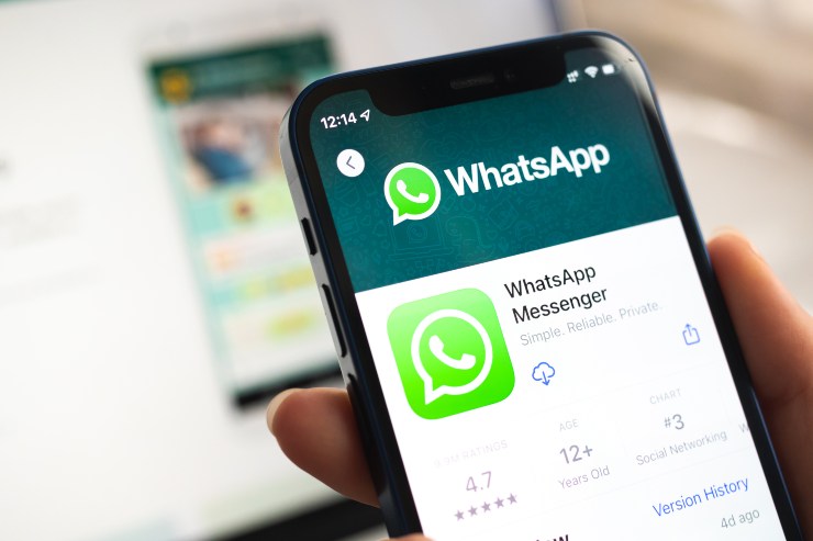 WhatsApp cambia l'età per usarlo